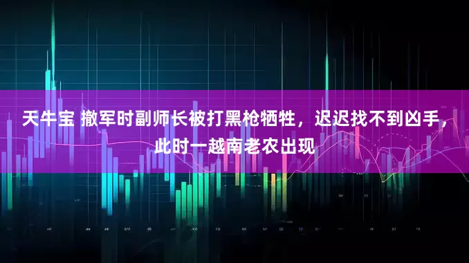 天牛宝 撤军时副师长被打黑枪牺牲，迟迟找不到凶手，此时一越南老农出现