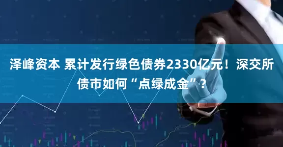 泽峰资本 累计发行绿色债券2330亿元！深交所债市如何“点绿成金”？